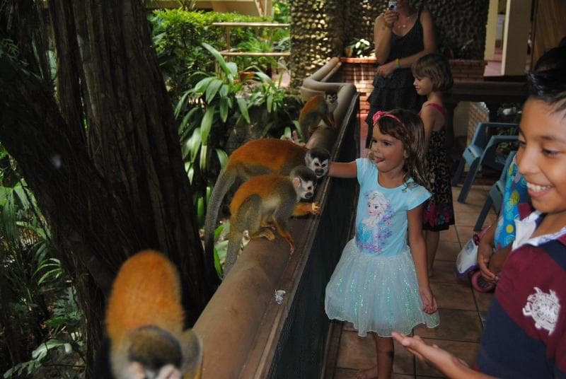 Jungle Beach Hotel Manuel Antonio 5