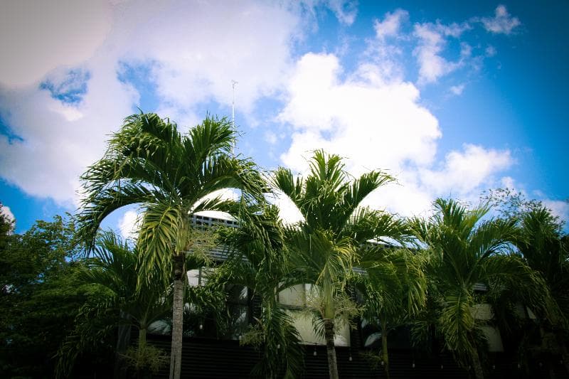 Hotel Urban Bacalar By Mij 3