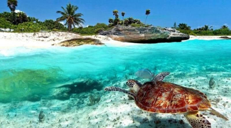 Baru Puerto Aventuras 5