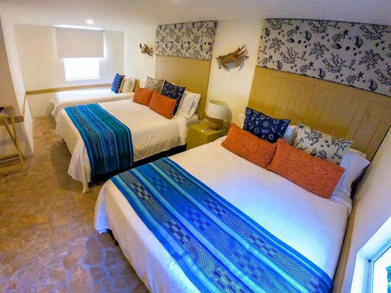 Hotel Isla Real 2