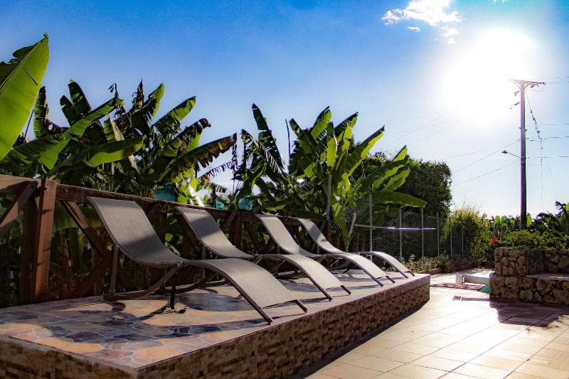 Eco Hotel Las Palmas 5