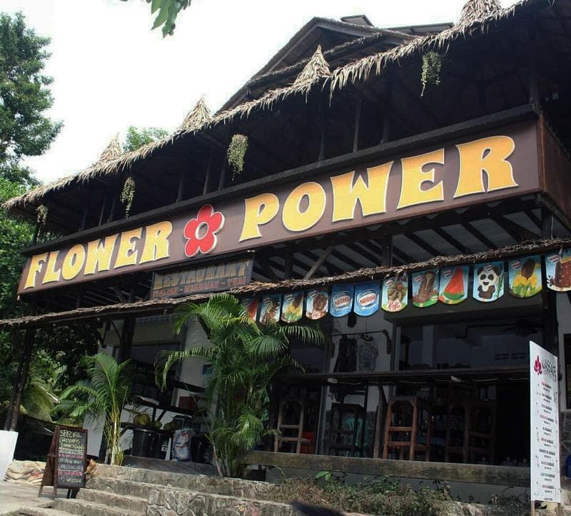 Flower Power Village 4