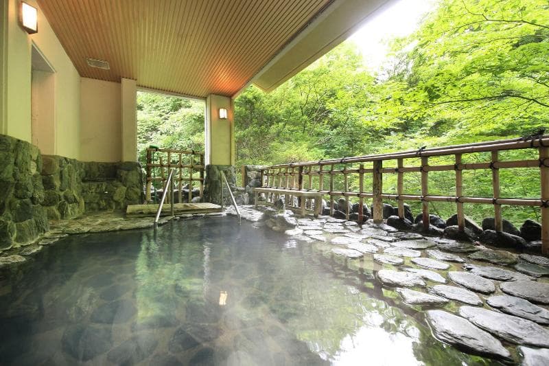 Tsunagi Onsen Shikitei main