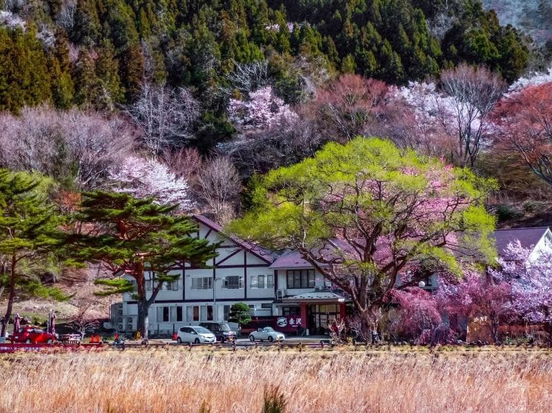 Akasawa Onsen Ryokan 5