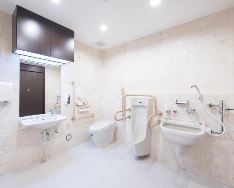 Toyoko Inn Fuji Kawaguchiko Ohashi 2