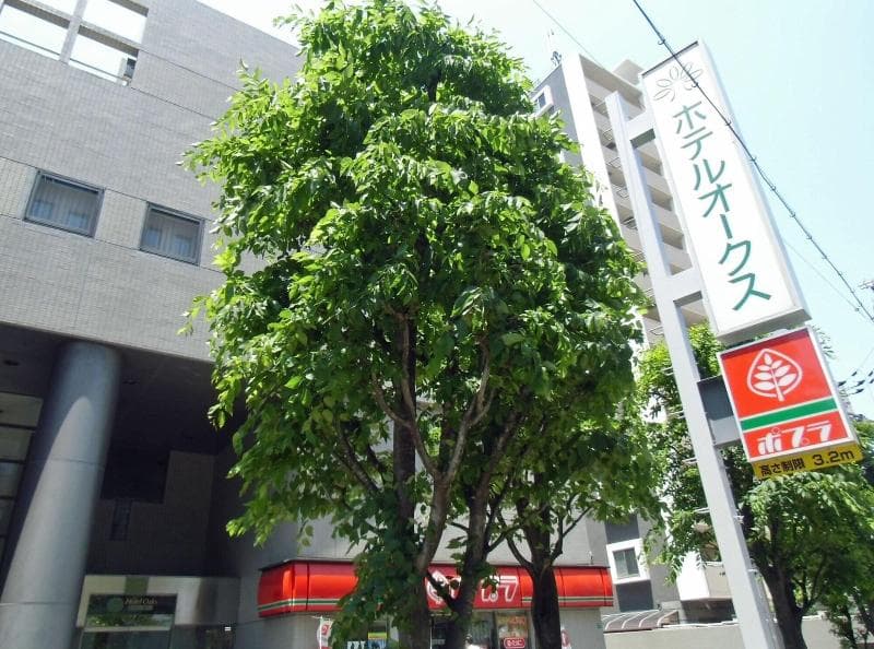 Hotel Oaks Early-Bird Osaka Morinomiya 3