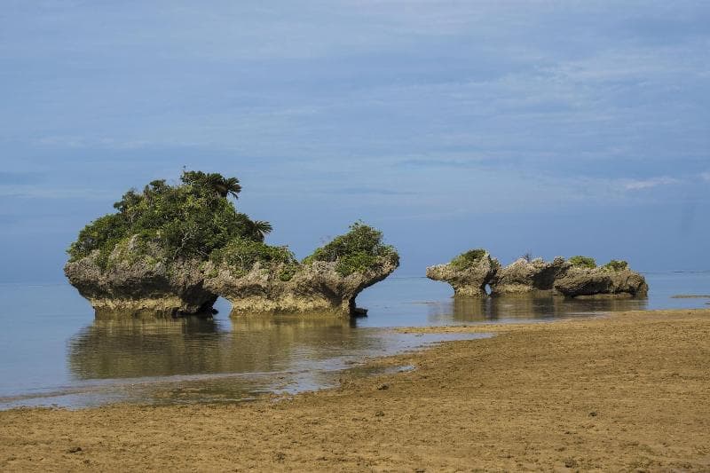 The Iriomote Island Hotel Hoshitate 5