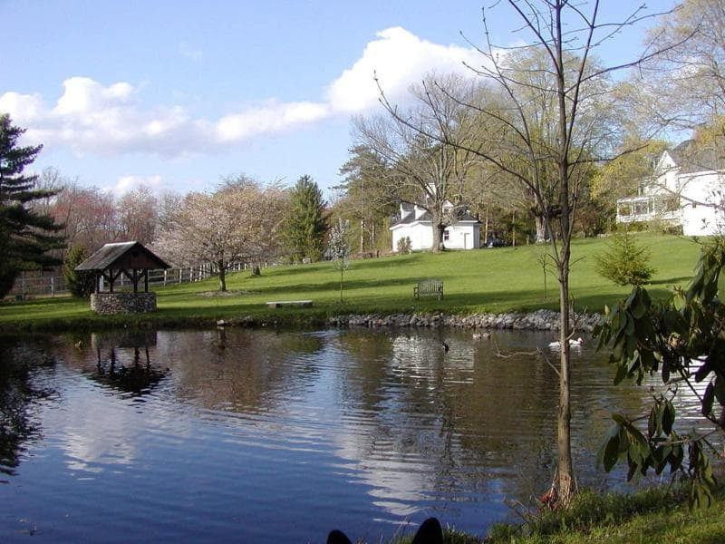 The Inn On The Horse Farm 4