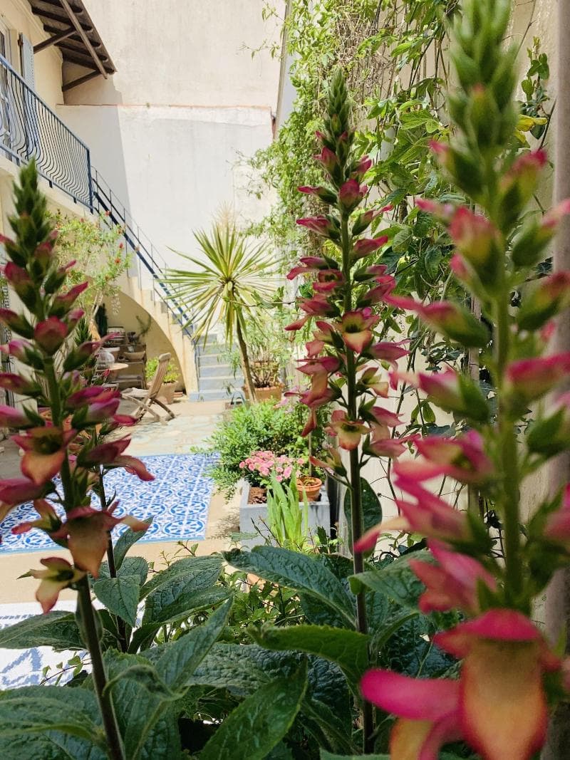 Patio Del Mar 4