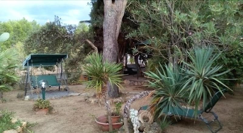 B&B Il Vigneto main