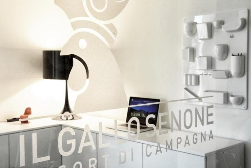 Il Gallo Senone 4