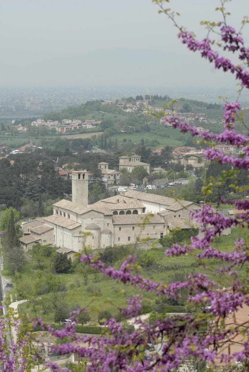 Palazzo Sant'angelo photo 1
