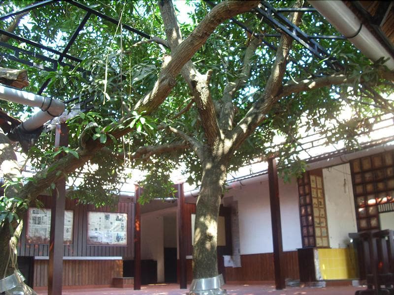 The Mango Tree Inn main