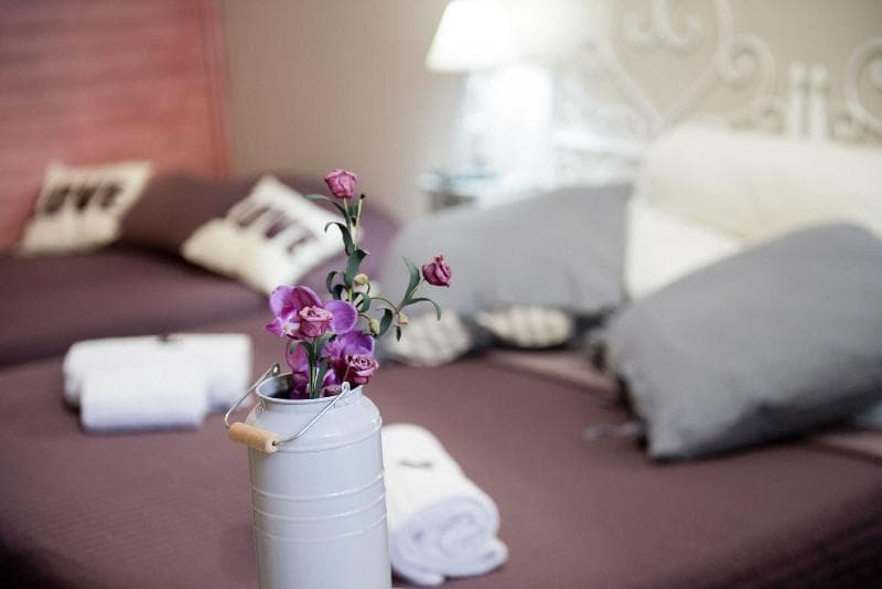 Bed And Breakfast Le Due Civette 5