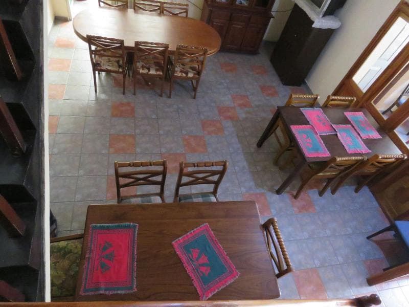 Carnation Rest 5