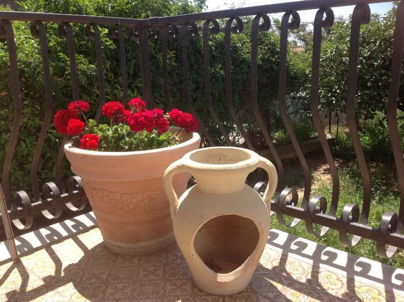 B&B Il Giardino Degli Agrumi 5