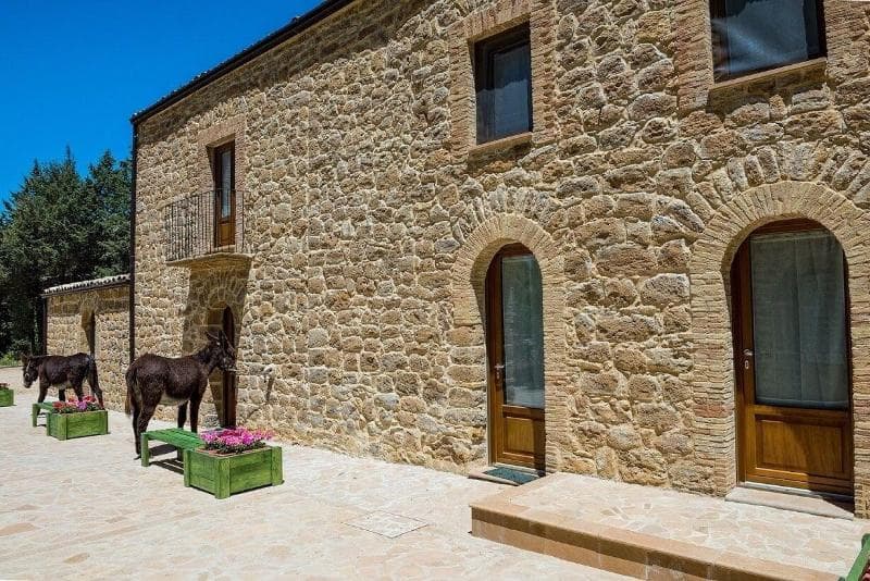 B&B La Quercia e l'Asino 5