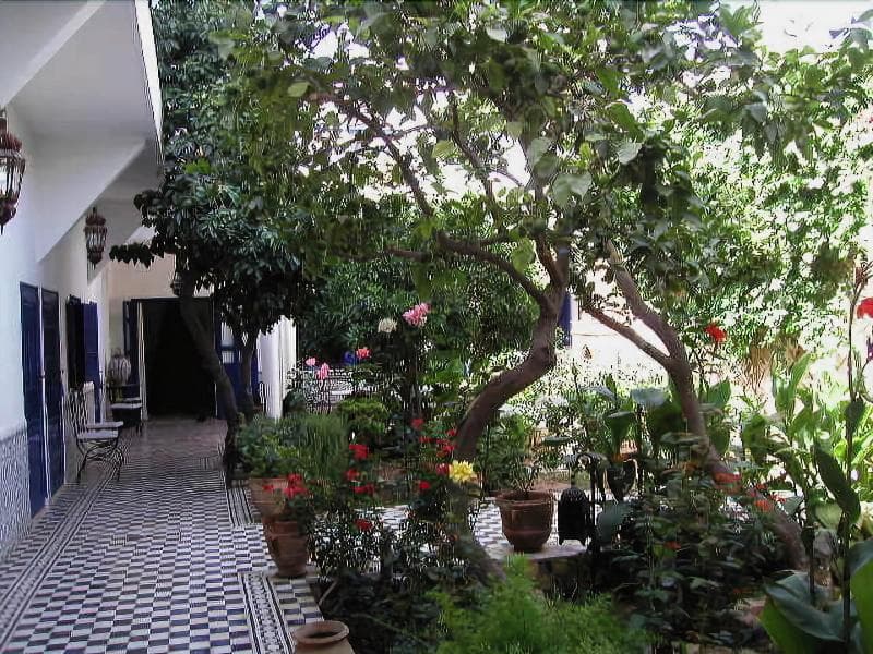 Riad M’Haita 5