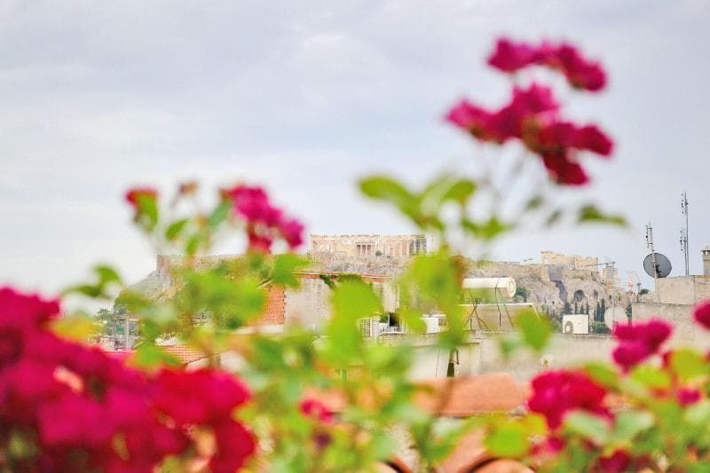 City Circus Athens 4
