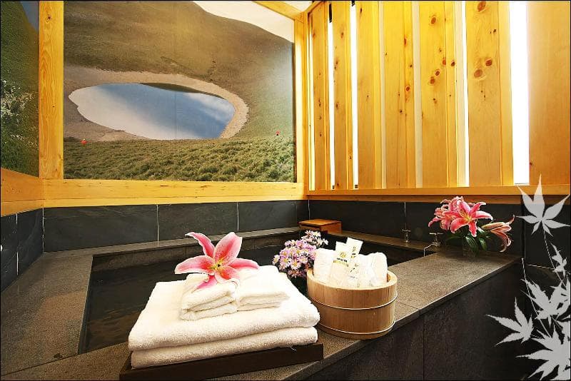 Onsen Villa Hotspring main