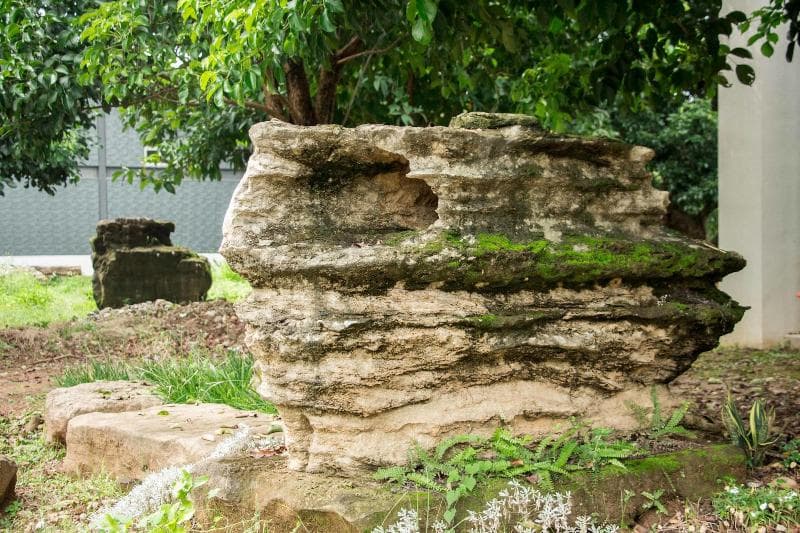 Wu-Liu-Farm B&B 5