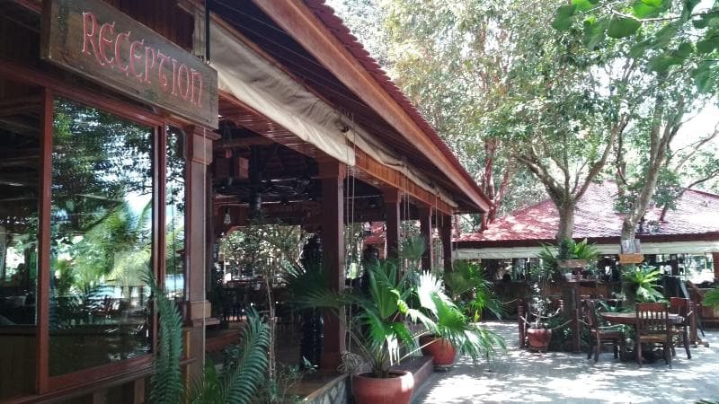 Tree House Bungalow 5