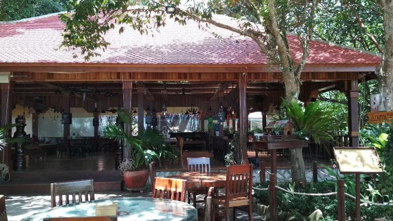 Tree House Bungalow 3