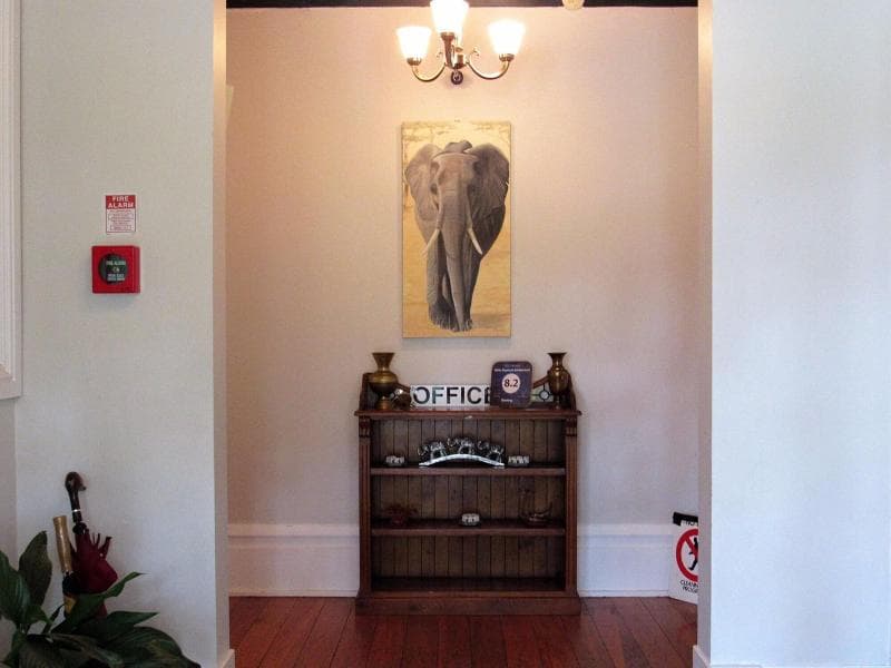 White Elephant Backpackers And Lodge 3
