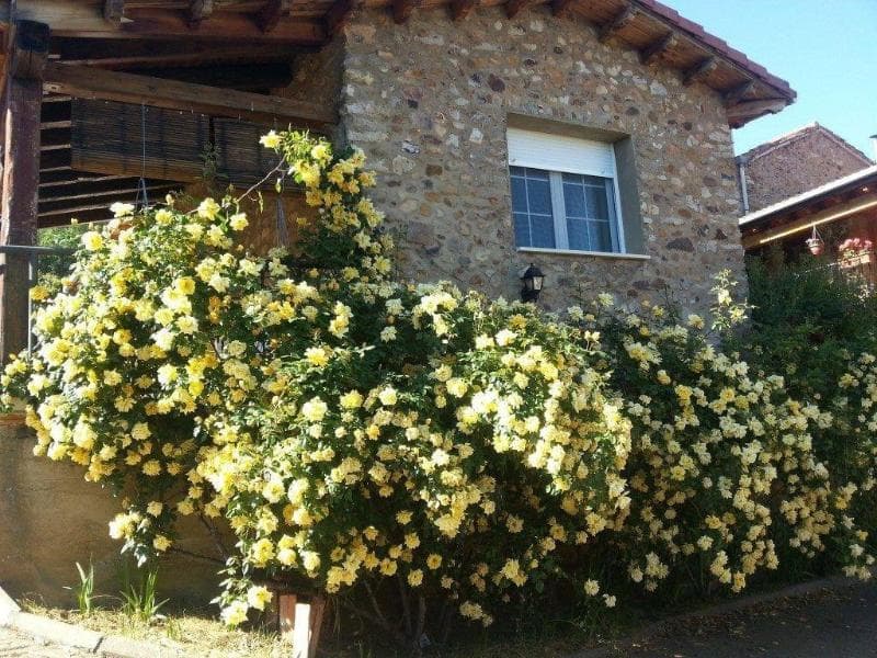 El Rincón De La Rosa 1 4
