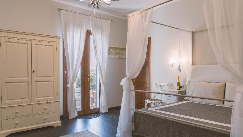 Tenuta Olive Alive 3