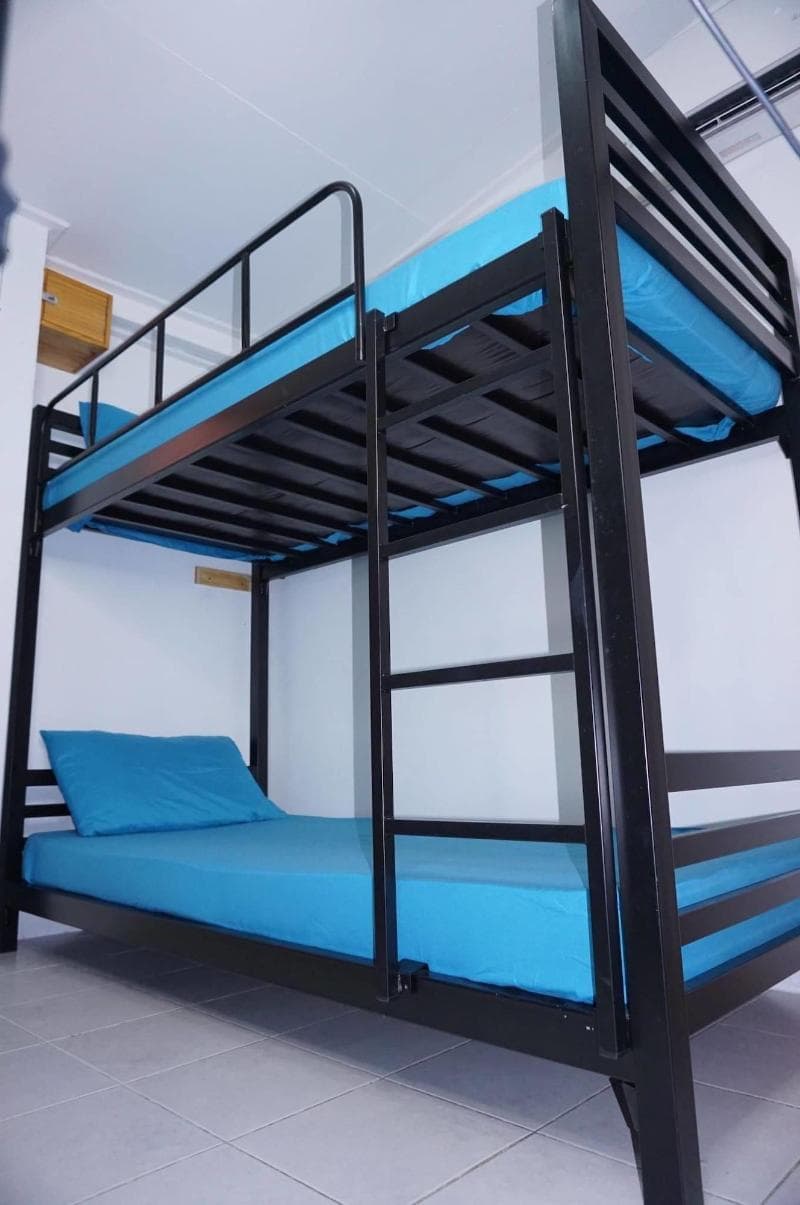 Culture Club Backpackers - Hostel main