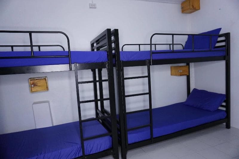 Culture Club Backpackers - Hostel 4