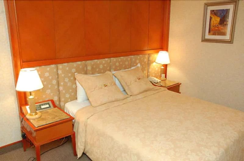 Attic Hotel 3