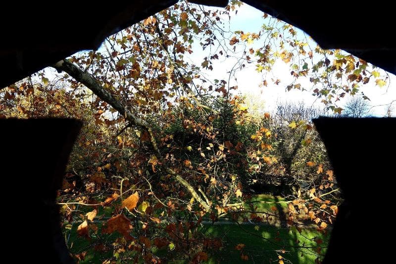 Les Jardins De Camelot photo 1