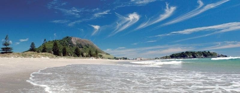 Ohope Beach Motel photo 1