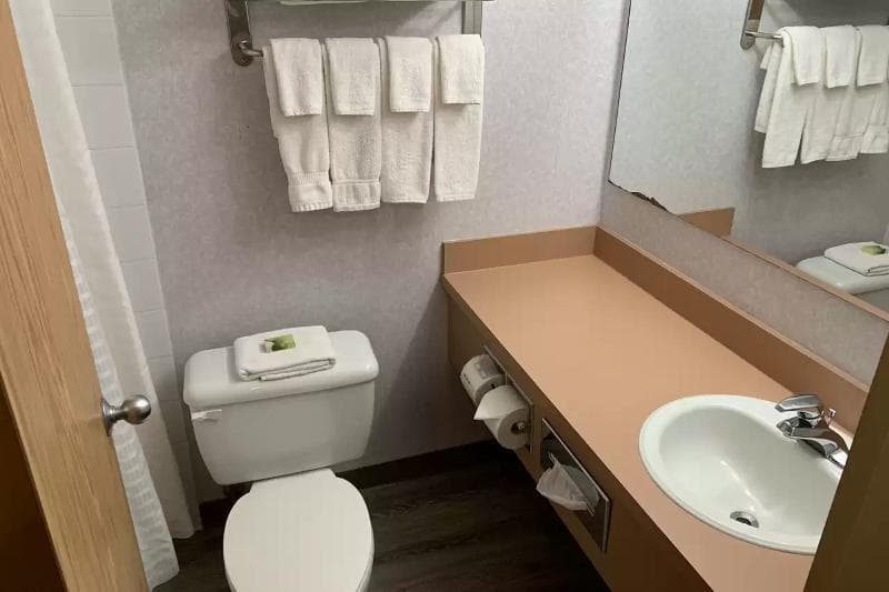 Rodeway Inn 5