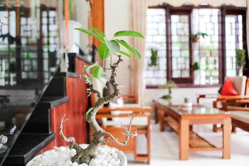 Viet Nhat Homestay main