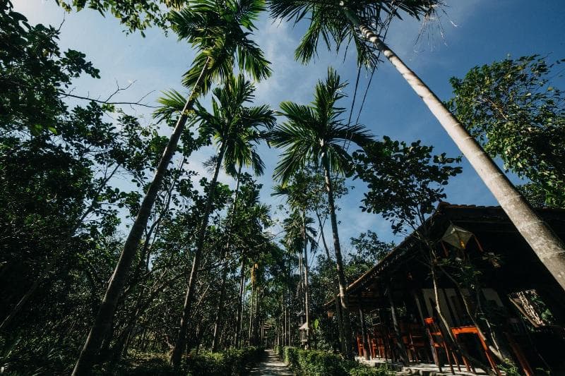 Thuy Bieu Homestay 5