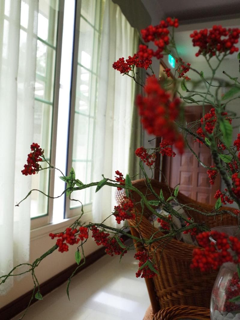 Malia Homestay 5