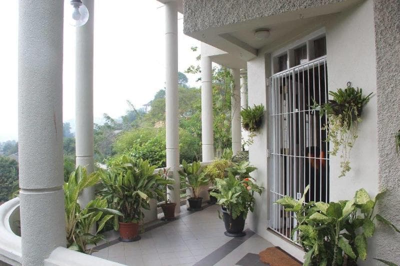 Marvel Hills Kandy 3