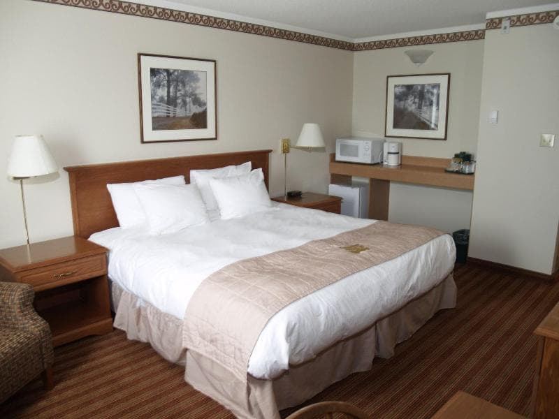 Lakeview Inn & Suites Brandon 4