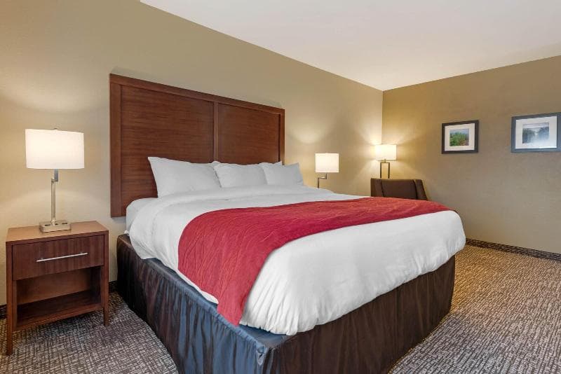 Comfort Inn & Suites 4