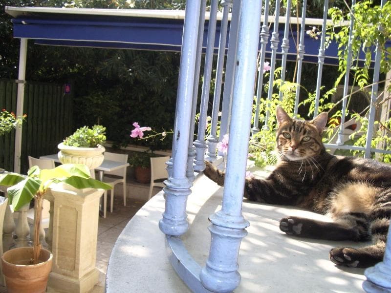 Villa Saint Hubert (Adults Only) 4