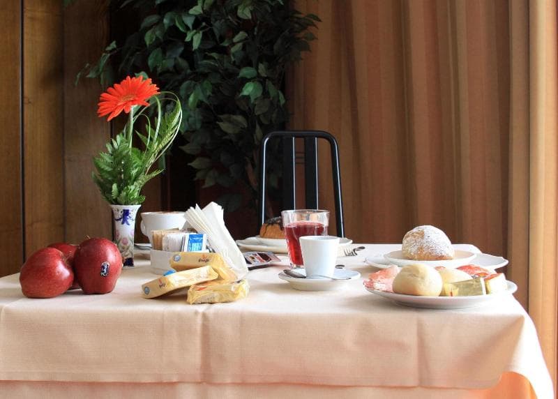 Euro Hotel Piacenza 4