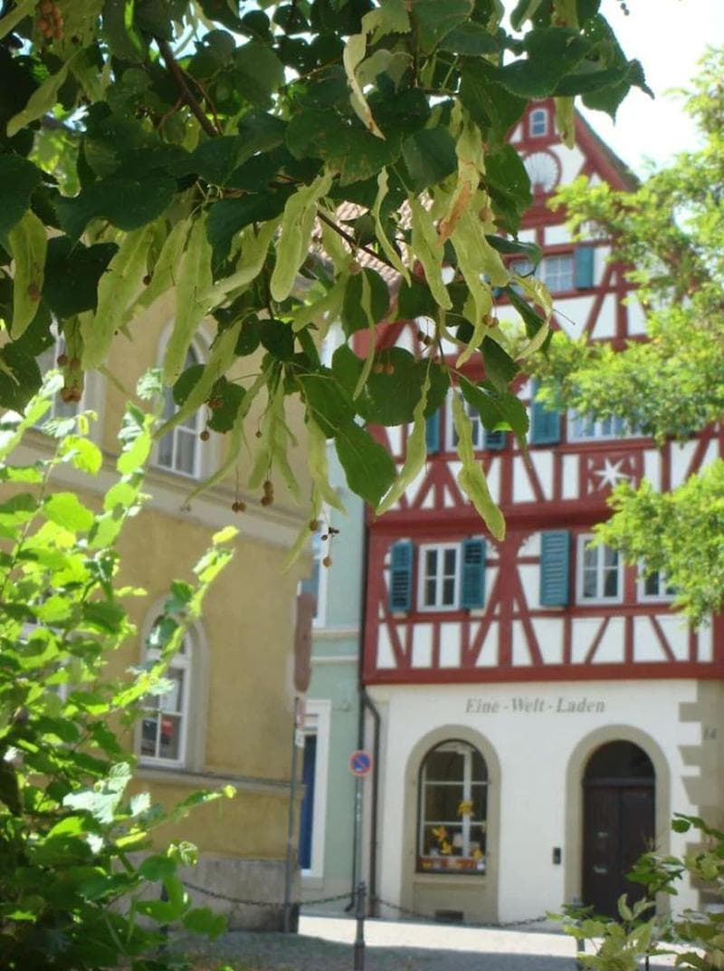 Bayerischer Hof main