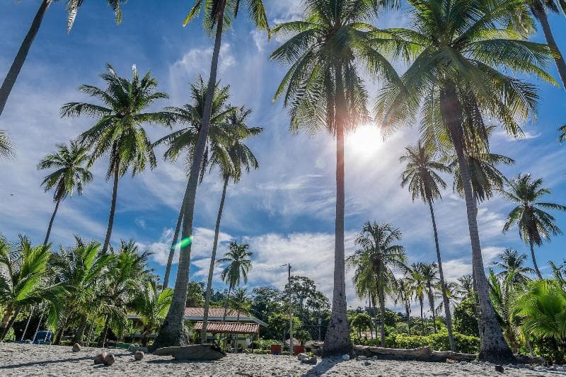 Hotel Manuel Antonio 5