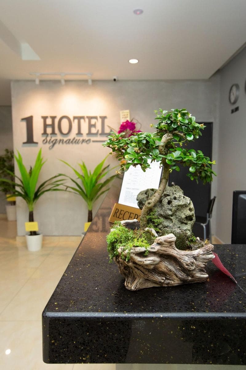 Signature 1 Hotel 3