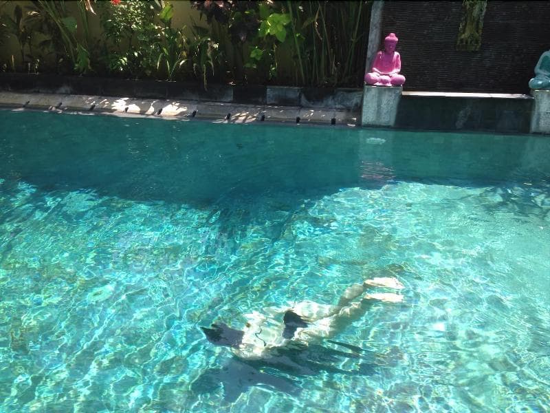 Arjuna Homestay main