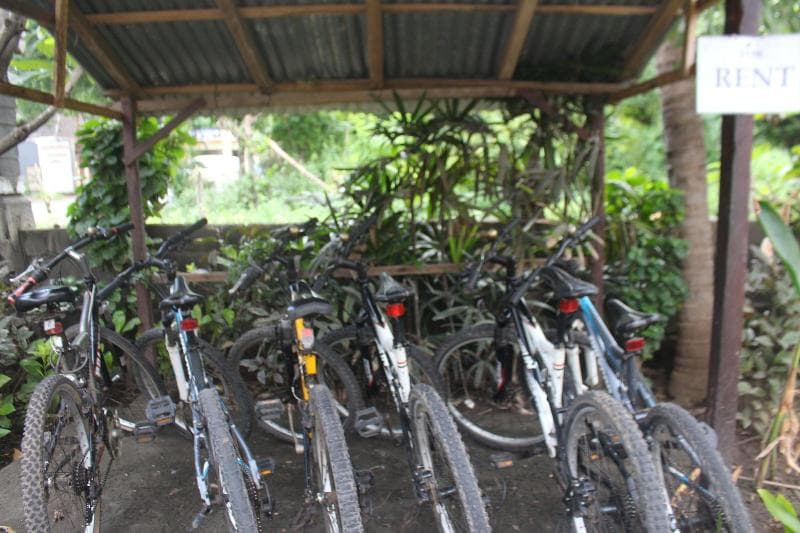 Pande Guest House Pemuteran main