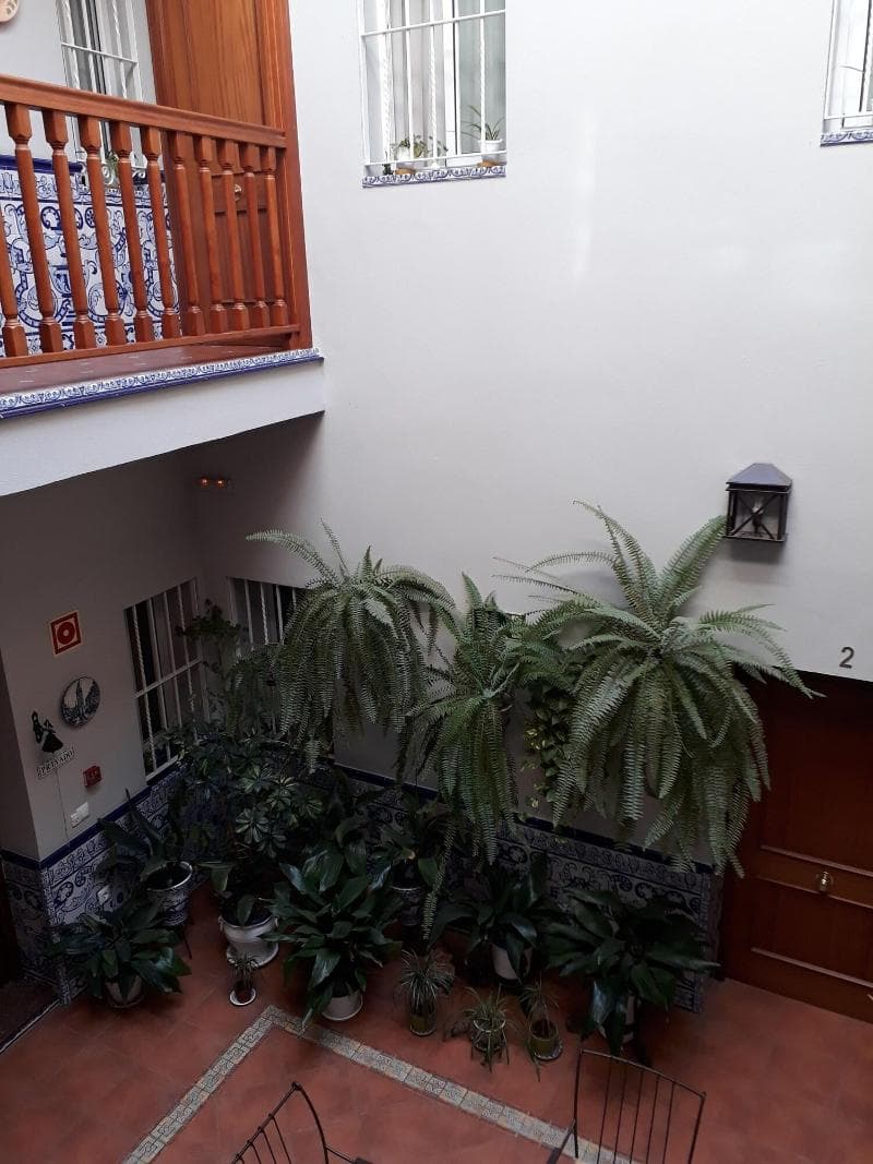 Pensión Doña Trinidad 3